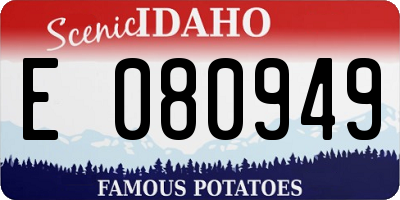 ID license plate E080949