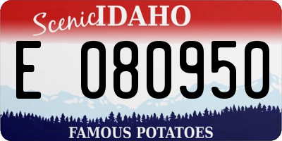 ID license plate E080950