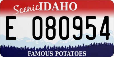 ID license plate E080954