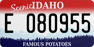ID license plate E080955
