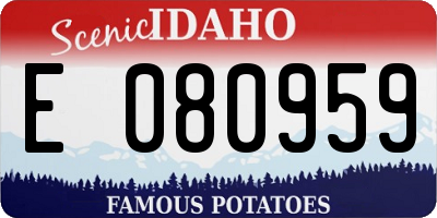 ID license plate E080959