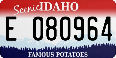 ID license plate E080964
