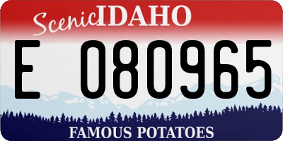 ID license plate E080965