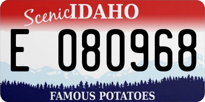 ID license plate E080968