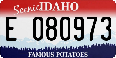 ID license plate E080973