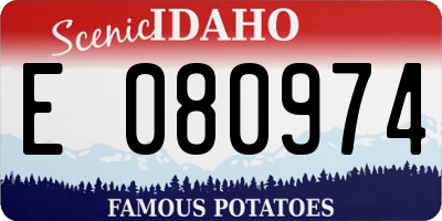 ID license plate E080974