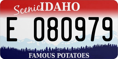 ID license plate E080979
