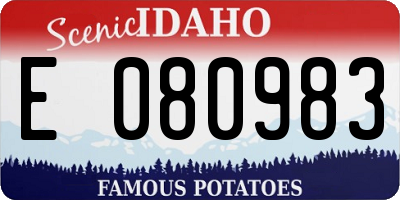 ID license plate E080983