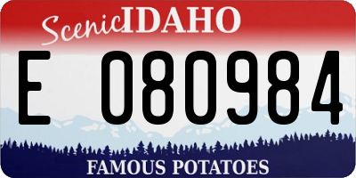 ID license plate E080984