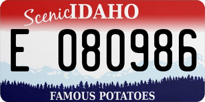 ID license plate E080986