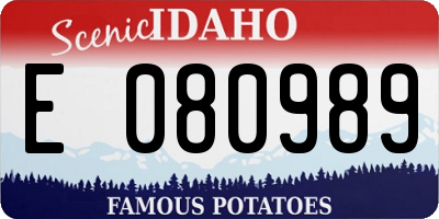 ID license plate E080989