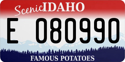 ID license plate E080990