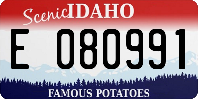 ID license plate E080991