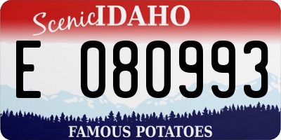 ID license plate E080993