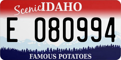 ID license plate E080994