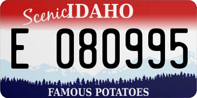 ID license plate E080995
