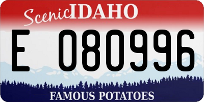ID license plate E080996