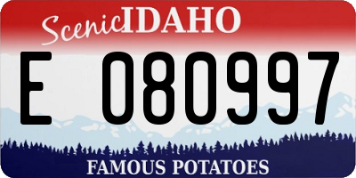 ID license plate E080997