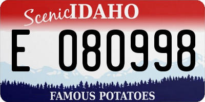 ID license plate E080998