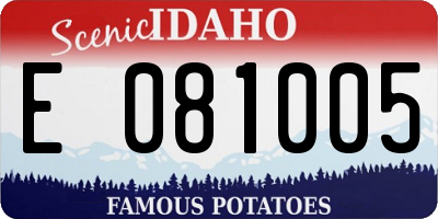 ID license plate E081005