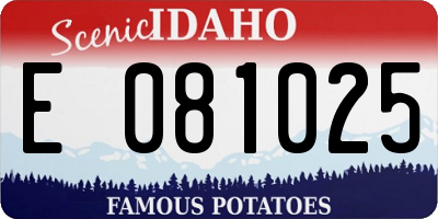 ID license plate E081025