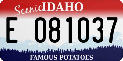 ID license plate E081037