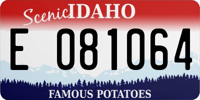 ID license plate E081064