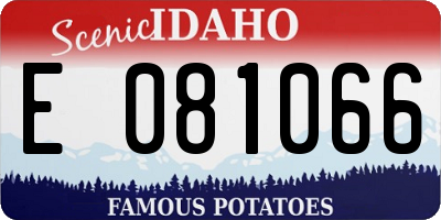 ID license plate E081066