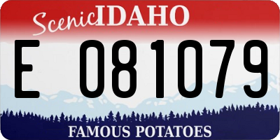 ID license plate E081079