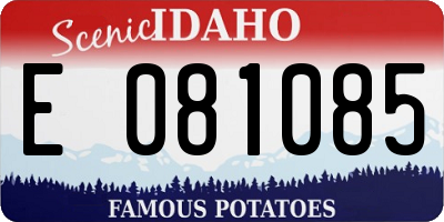 ID license plate E081085