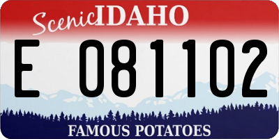 ID license plate E081102