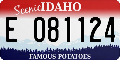 ID license plate E081124