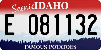 ID license plate E081132