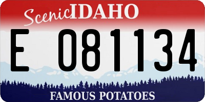 ID license plate E081134