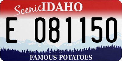 ID license plate E081150