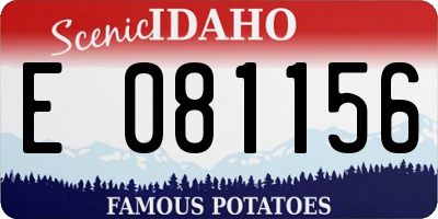 ID license plate E081156