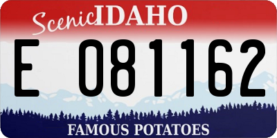 ID license plate E081162