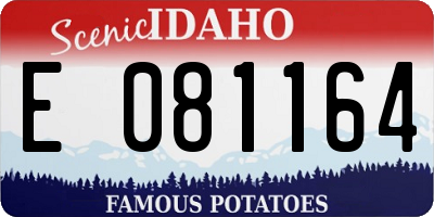 ID license plate E081164
