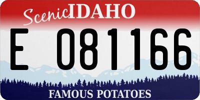 ID license plate E081166