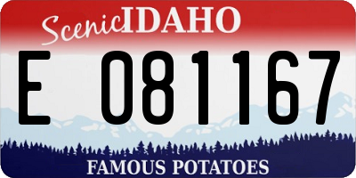 ID license plate E081167