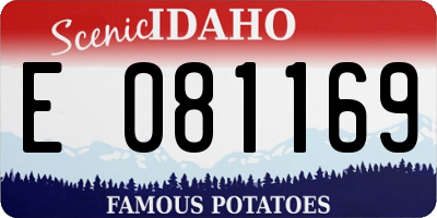 ID license plate E081169