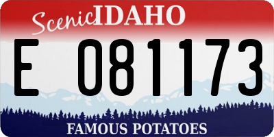 ID license plate E081173