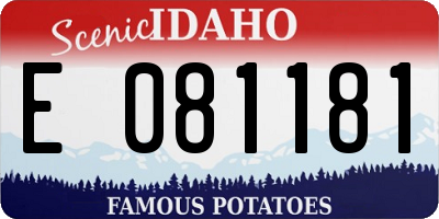 ID license plate E081181