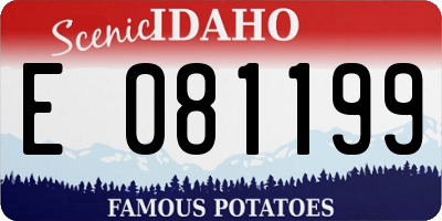 ID license plate E081199