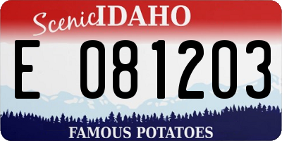 ID license plate E081203