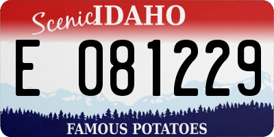 ID license plate E081229