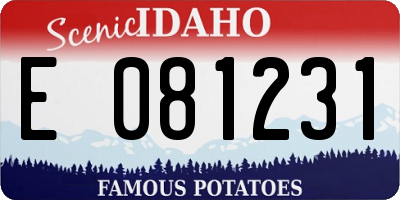 ID license plate E081231