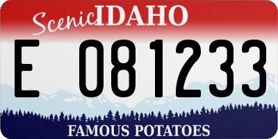 ID license plate E081233