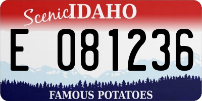 ID license plate E081236
