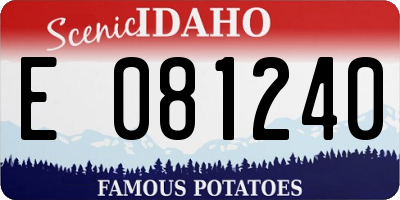 ID license plate E081240